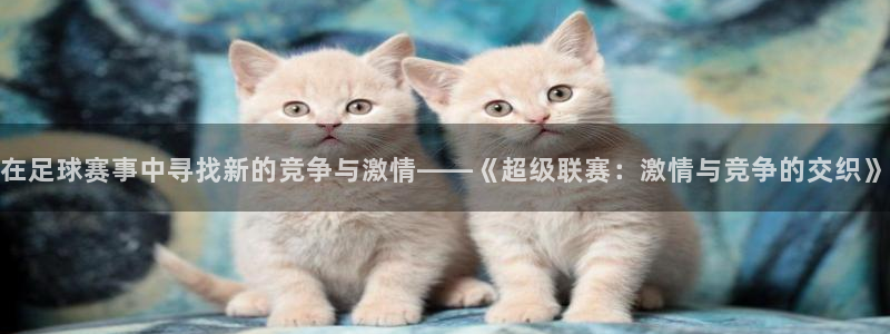 在足球赛事中寻找新的竞争与激情——《
