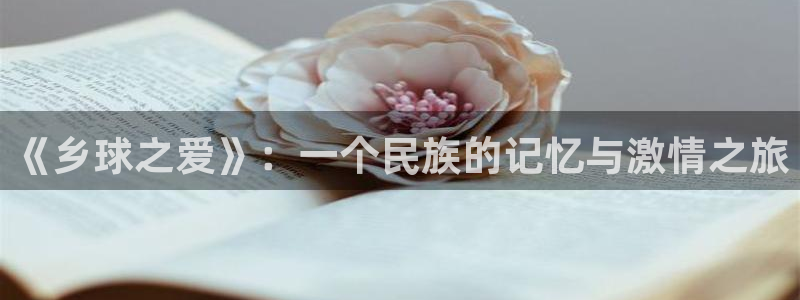 《乡球之爱》：一个民族的记忆与激情之