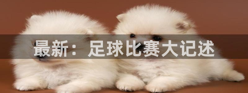 最新：足球比赛大记述