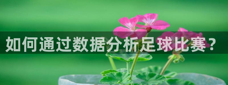 如何通过数据分析足球比赛？