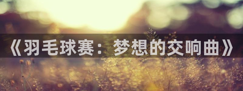  《羽毛球赛：梦想的交响曲》