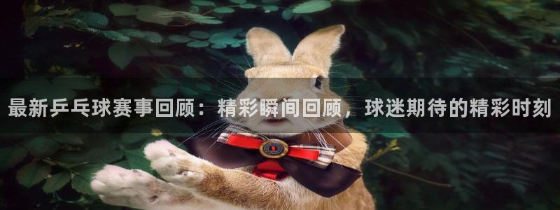 最新乒乓球赛事回顾：精彩瞬间回顾，球