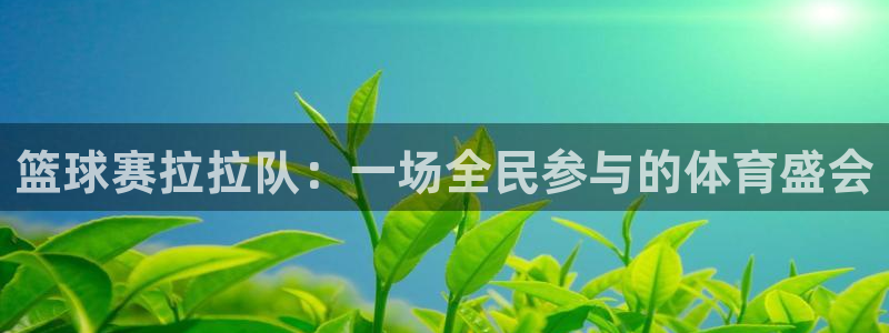篮球赛拉拉队：一场全民参与的体育盛会