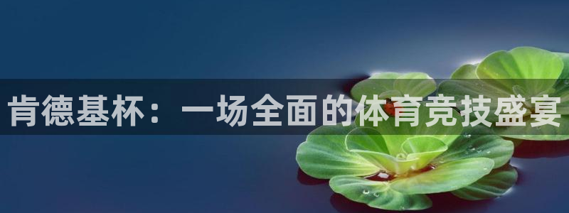 肯德基杯：一场全面的体育竞技盛宴