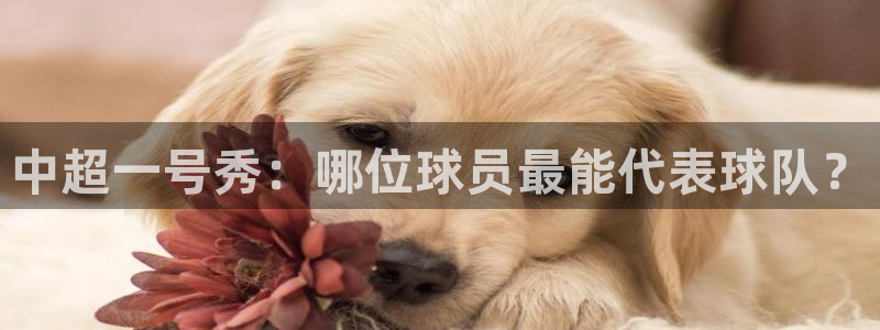 www.星空体育：中超一号秀：哪位球