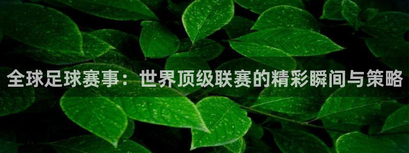 星球体育馆：全球足球赛事：世界顶级联赛的精彩瞬间与策略