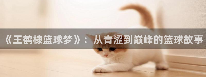  星空体育在线官网：《王鹤棣篮球梦》：从青涩到巅峰的篮球故事
