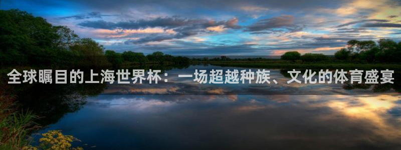  体育星空：全球瞩目的上海世界杯：一场超越种族、文化的体育盛宴