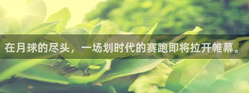  星空体育中国：在月球的尽头，一场划时代的赛跑即将拉开帷幕。