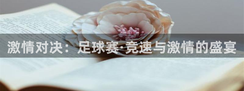 天空体育球员排名：激情对决：足球赛·竞速与激情的盛宴