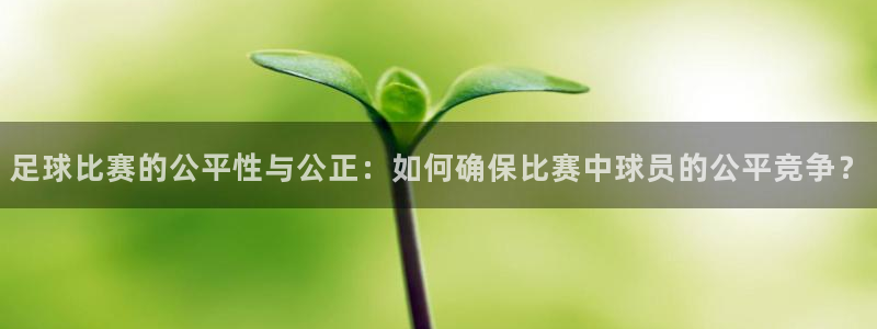  星空体育：足球比赛的公平性与公正：如何确保比赛中球员的公平竞