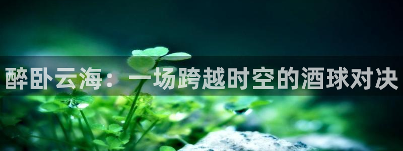 星空体育.：醉卧云海：一场跨越时空的