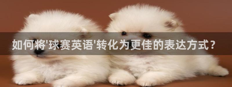 www.星空体育：如何将\'球赛英语