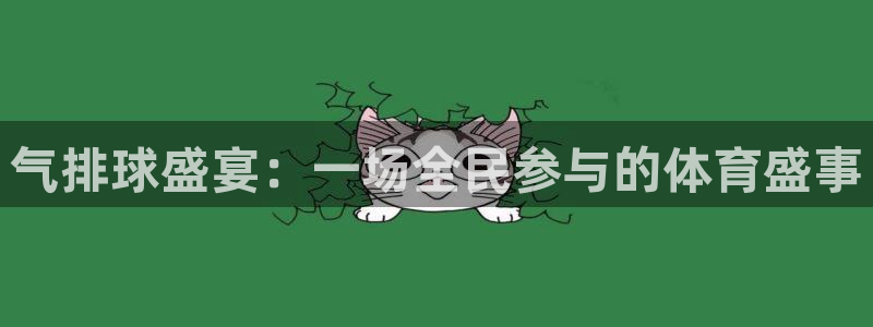  天空体育球员排名榜：气排球盛宴：一场全民参与的体育盛事