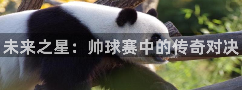  天空体育球员排名：未来之星：帅球赛中的传奇对决